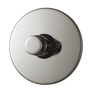 Commercial push button flush valve