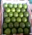 Import Competitive PriceThe COMMON Green Lime Have Great Grade Made In Vietnam With 90% Maturity from China