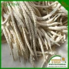 cotton shoelace /cotton cords/cotton braided shoestring