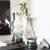 Import Creative Luxury Flower Vase Glass Clear Modern Simple Nordic Glass Vase Home Decoration Flower Vase Glass Clear from China