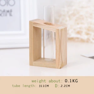 Crystal Glass Test Tube Vase in Wooden Stand Flower Pots for Hydroponic Plants Home Garden Decoration