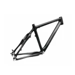 Custom Design High Quality Wholesale Bike Parts Carbon Bicycle Frame China