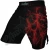 Import custom logo and custom design high quality low price MMA fighting shorts from Pakistan