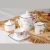 Import Custom new design 15/17 pcs ceramic colorful bone china tea set with teapot from China