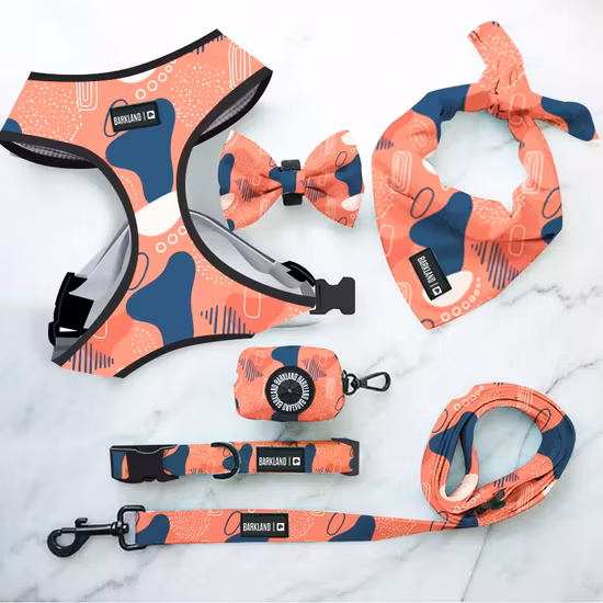 Custom Soft Adjustable Breathable Mesh Striped Pet Dog Harness and Leash Set for Small Large Dogs No Pull