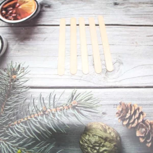 Customised China wholesale supplier ice cream stick