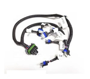 Customize Wire Harness  Wiring harness Assembly 1 Years Warranty manufacturer