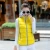 Import cz39248a Best selling high quality solid color cotton zipper hooded woman vest from China