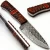 Import Damascus Knife for Hunting Skinning - Fixed Blade Hunting Knife with Sheath - Damascus Steel Knife with Wood Handle from Pakistan