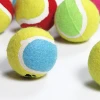 DECOQ Pet Tennis Ball Toys Especially for Dogs Backyard tennis ball toy