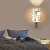 Import Decorative Bedside Reading Wall Light, Contemporary 2 Light Indoor Wall Lamp, Black Glass Bathroom Vanity Wall Light from China