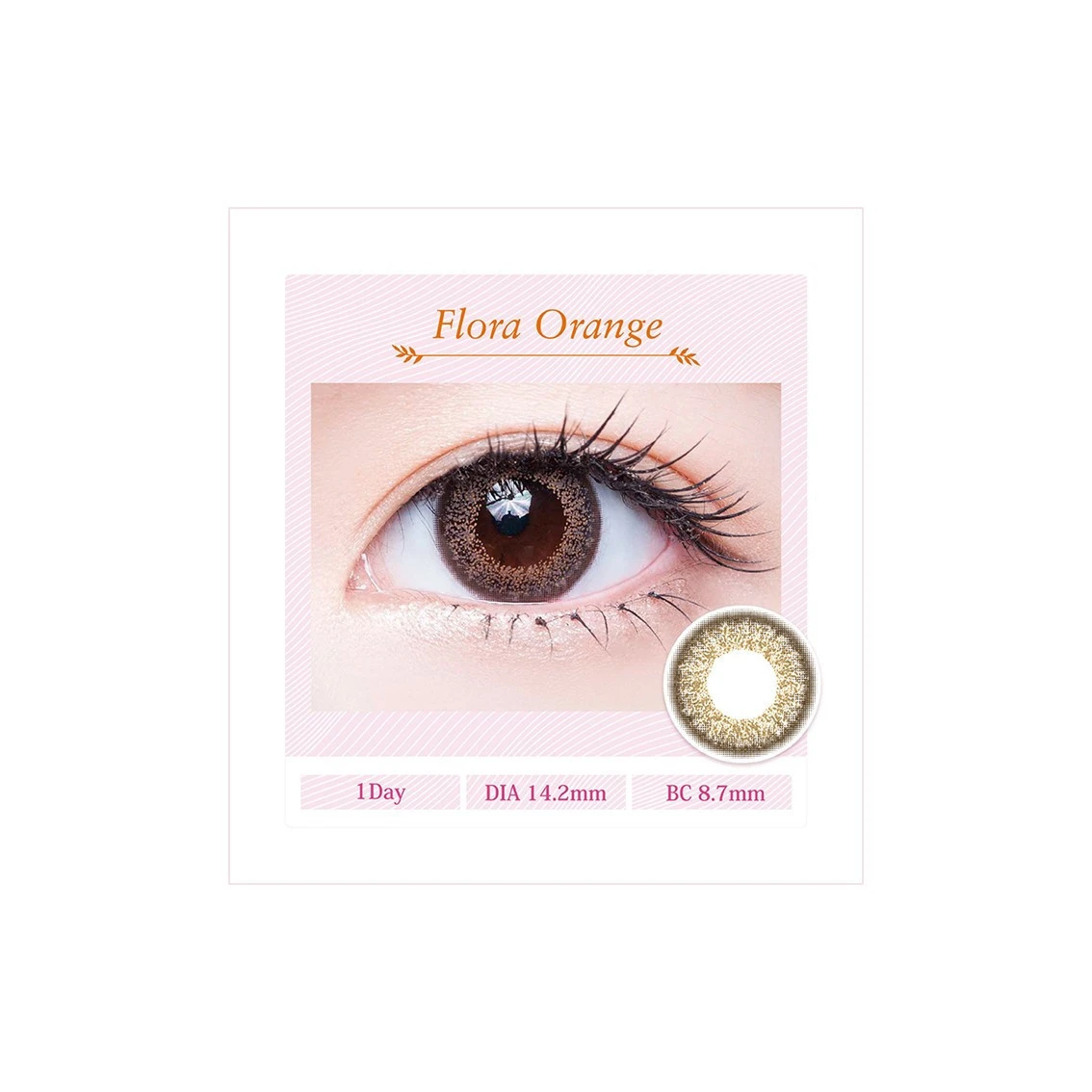 Deesse Daily 38% Soft Color Contact Lenses | FLORA ORANGE | Wholesale | Nice Quality | Factory Price | 10 pieces