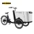 Import Denmark popular electric bike cargo trailer from China