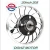 Import DGWZ 20inch 36v48v 350w500w brushless hub motor electric bike motor from China
