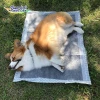 Disposable Leak Proof Quick-Drying Pet Dog Urine Pad,dog training tray wee pad training bag buy poppy training pads