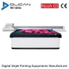 Dlican-2030 3020 2513 1612 UV Flatbed Printing All In One printer