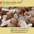 Import Dried Coconut Copra Cup from India