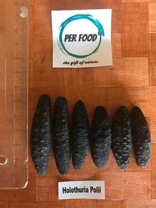 Dried Sea Cucumber (High Quality)