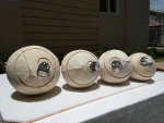 Dry Coconut/Fresh Tender Coconut Semi Husked Coconut At Low Cost And Best Quality/Wholesale