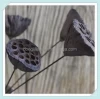 Dry Natural Lotus seed stalk With bending Metallic Stem