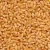 Import Durum Wheat Best Quality For Human Consumption from Germany
