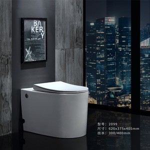 Electric Whirlpool Type Foot Touch Pumping Implement Tankless Toilet