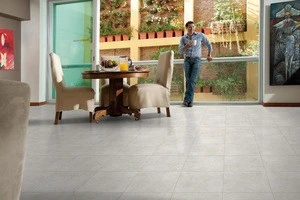 Exclusive Design range of Ceramic Floor Tile