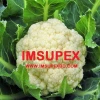 Export Quality Fresh Bangladeshi Cauliflower
