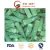 Import Export Quality IQF Frozen Okra Cut and Frozen Vegetables from China