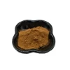 Factory direct supply Ganoderma lucidum Polysaccharide 30%  powder custom plant extract
