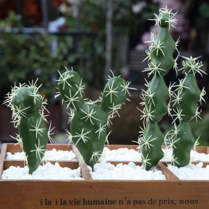 Factory Directly Ornamental Cactus And Succulents Artificial Unpotted Cactus Plants