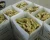 Import Factory Fresh Air Dry Ginger For Large Business Super from China