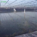 Factory price agriculture pond liner for fish shrimp farming 0.5mm geomembrane