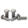 Factory Professional Customized High Quality Chrome Plated Stainless Steel Flat Head Rivets