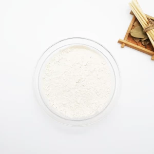 Factory Provides You with Rice Protein Customization