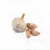 Import Factory supply High quality Natural 1%~5% Allicin Garlic Extract from China