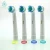 Import Factory Wholesale Brush Heads SB17a Adult Toothbrush Head from China