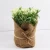 Import factory wholesale Lifelike Artificial Plants Plastic Plants with Pots from China