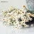 Import Factory Wholesale Natural dried flower Everlasting Daisy flower decoration for Gift from China