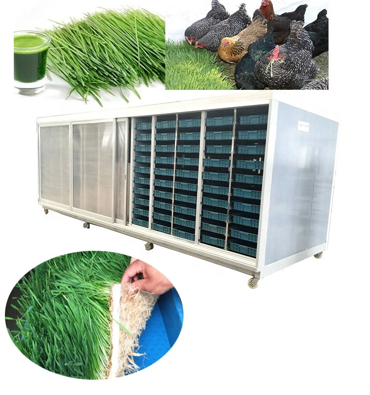 Farming Hydroponic Fodder/Barley Grass Growing System for Animals Livestock Poultry Safe and reliable