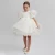 Import Fashion Girl Princess Vintage Dress Tulle Cotton Child Vestido Puff Sleeve Pink Wedding Party Birthday Tutu Dress Child Clothes from China