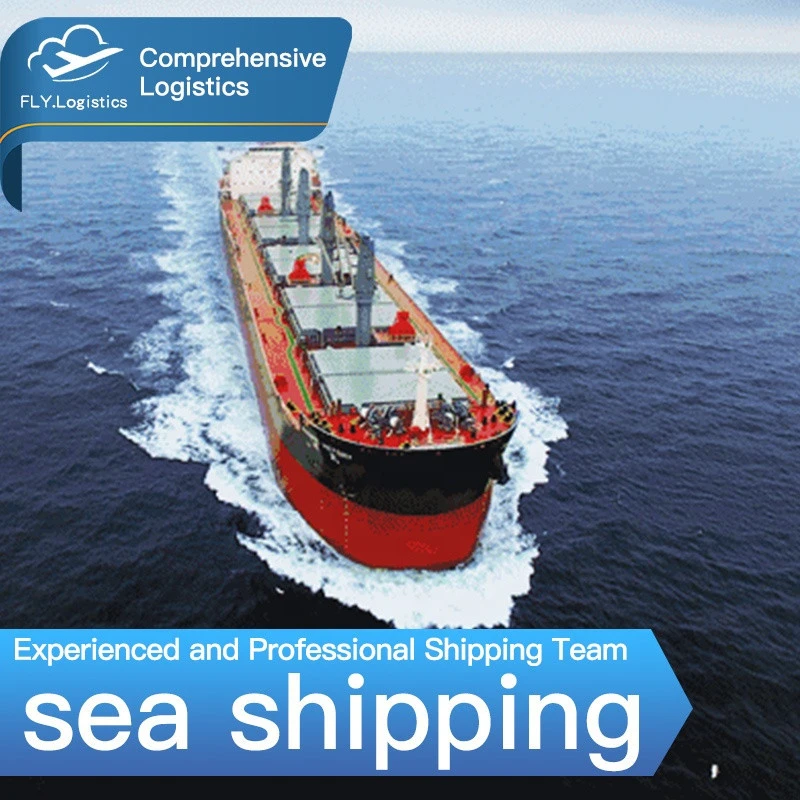Fast and professional Freight Forwarder Sea Shipping from China to Australia and New Zealand