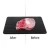 Import Fast Defrosting Tray Thaw Frozen Food Meat Fruit Quick Defrosting Plate Board Defrost Kitchen Gadget Tool from China