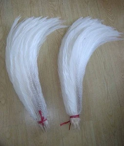 FH330 Silver Pheasant Tail White Feathers