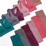 Fitness Wear Yoga Apparels Women Outdoor Seamless Gym Wear Sets Blank Sport Yoga Bra and Leggings Set with Custom Logo