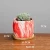 Import Free sample Round Marbling Ceramic Succulent Pots Cactus Planter Flower Pot Container with Bamboo Tray Drainage from China