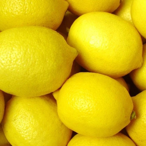Fresh Adaila Lemons