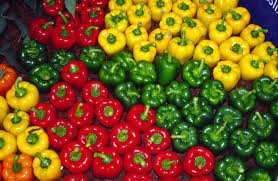 Fresh Capsicum (Bell Pepper) with low price - Best for your dishes Great prices