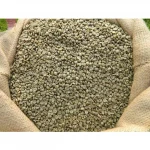 Fresh cheap organic ethiopian roasted arabica green bean coffee
