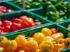 Fresh Colorful Bell peppers (red, yellow, orange)